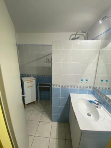 a blue and white bathroom with a sink and a shower at Appartement 30m2 proche gorge du verdon et cure thermale de Gréoux in Gréoux-les-Bains