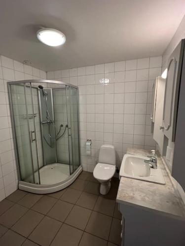 a bathroom with a shower and a toilet and a sink at Fishermans Apartment A13 in Nautnes