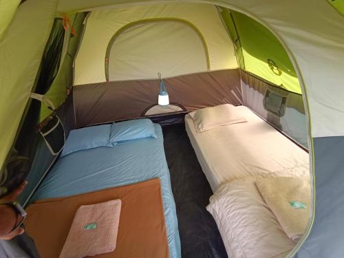 two beds in the inside of a tent at Agronest Farm & Resort By Teal Luxury Stay in Wayanad