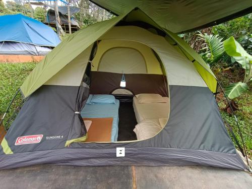 a green and gray tent with a bed in it at Agronest Farm & Resort By Teal Luxury Stay in Wayanad