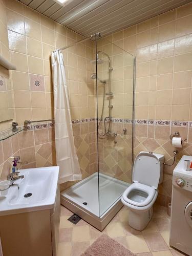 Koupelna v ubytování Apartman Daroteka