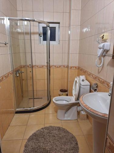 a bathroom with a shower and a toilet and a sink at Evropa in Gračanica