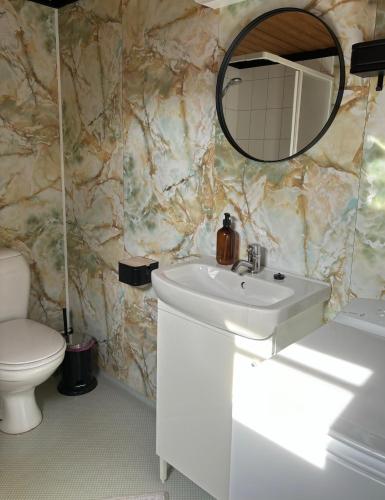 a bathroom with a sink and a mirror and a toilet at Hytte nær Ål in Liagardane