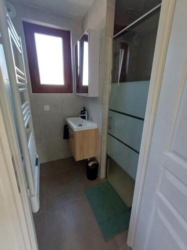 a small bathroom with a sink and a shower at Le chamois mont d'or in Métabief