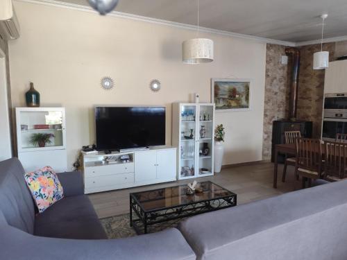 ein Wohnzimmer mit einem Sofa und einem TV in der Unterkunft Quinta das Hortênsias I Quinta do Sol in Cruz do Campo