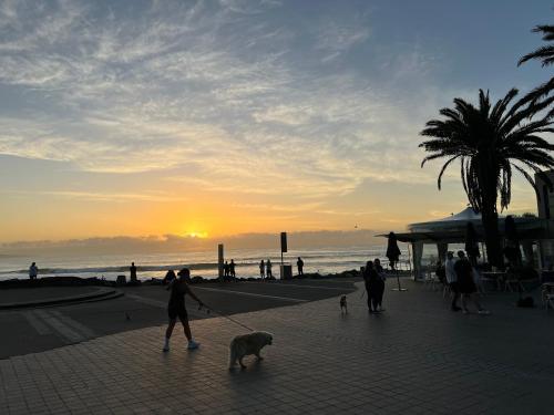 a person walking a dog on a leash on the beach at Ocean View Private Cronulla Apartment in Cronulla