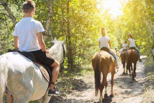 Horseback riding at the holiday home or nearby