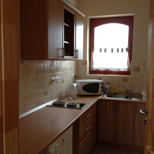 a small kitchen with a sink and a microwave at VIDOR Vendégház in Demjén