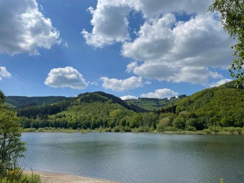 a view of a river with mountains in the background at Bergstadt Apartment Lautenthal ,Modern, Stylisch, Geräumig in Lautenthal