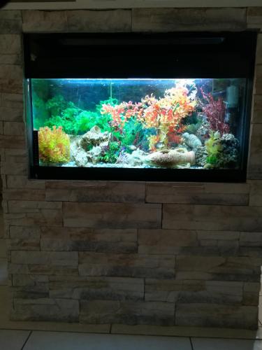 un grand aquarium sur un mur de briques dans l'établissement Notre nid d'amour - jacuzzi, piscine, billard, bar extérieur, terrain de boules, à Saint-Sernin-du-Bois