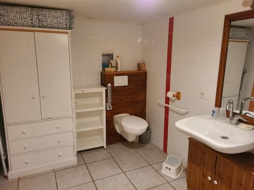 uma casa de banho com um WC branco e um lavatório. em L'oree des Bornes-appartement avec piscine em Évires