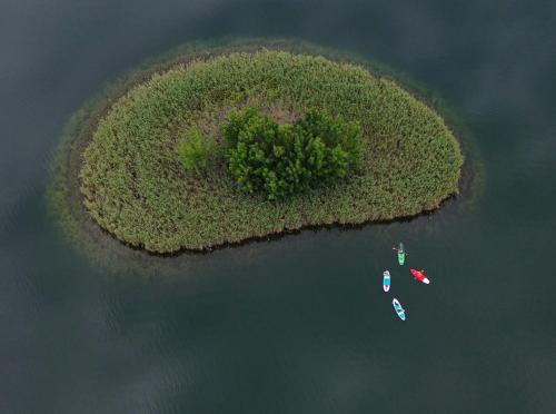 アパートメントの近くで見られる自然の景観