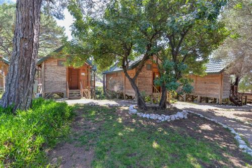 a log cabin with trees in front of it at Sea Valley Lodge in Faralya