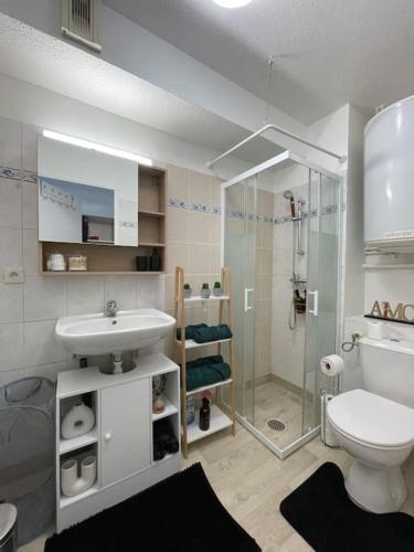 a bathroom with a toilet and a sink and a shower at Le Sun Valley - Studio Cosy - Free Parking in Montpellier