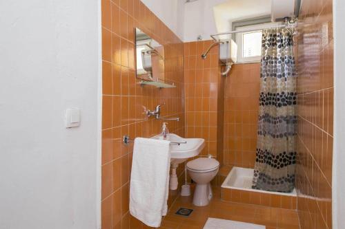 ein Bad mit einem Waschbecken, einem WC und einer Dusche in der Unterkunft Nick's Old Town Apartment in Labin