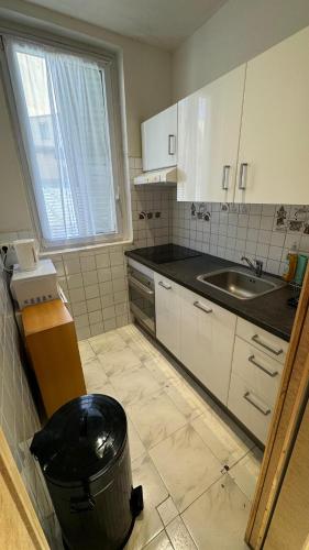 - une cuisine avec une poubelle et un évier dans l'établissement MONACO CENTRAL DUPLEX, 8 Sleeps BnbRickeys, à Beausoleil