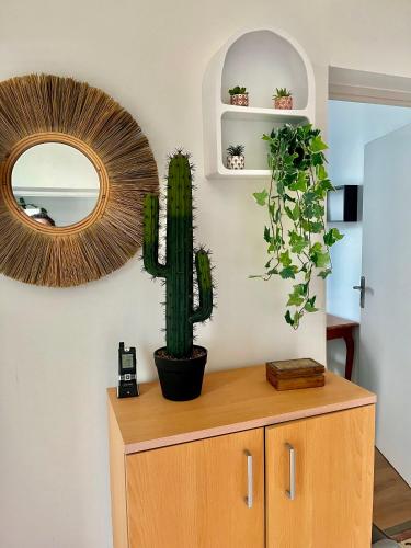 un cactus posé sur une armoire avec un miroir dans l'établissement Charmant appartement, à Nîmes