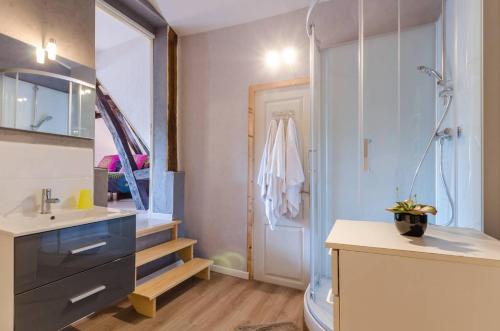 ein Badezimmer mit Waschbecken, Toilette und Dusche in der Unterkunft Gite de la Bouvotte in Neuville-sur-Vanne