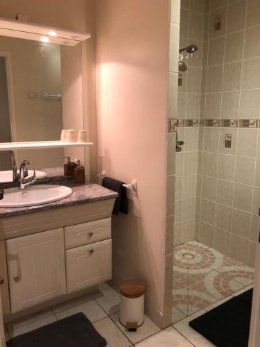 a bathroom with a sink and a shower at Gîte “Les reflets de la Charente” in Condac