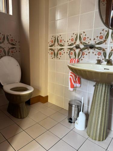 a bathroom with a toilet and a sink at Vino Grando 't Klooster in Odiliapeel