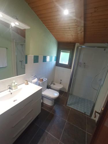 a bathroom with a toilet and a shower and a sink at CAN VICENS in Caldes de Malavella