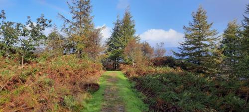 a path through a forest with trees on a hill at Glencarrick - Harbour View in Tarbert