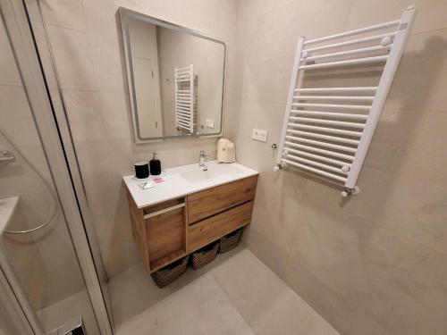 Apartmento Ibero 2 tesisinde bir banyo
