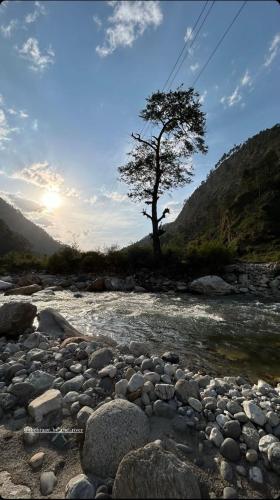 a river with rocks and a tree in the background at Thehraav By The River - Mudhouse Odyssey, Tirthan Valley in Banjār