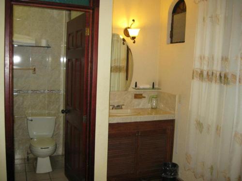 een badkamer met een toilet, een wastafel en een spiegel bij Hotel Posada Santa Fe in Ocotlán