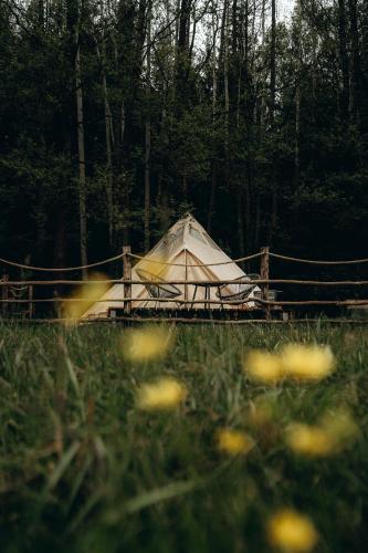 Gallery image of Glamping U Lesa in Rychnov nad Kněžnou