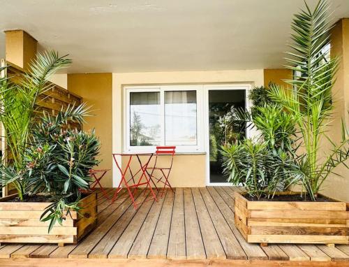 Studio Mimosa - 500m de la plage