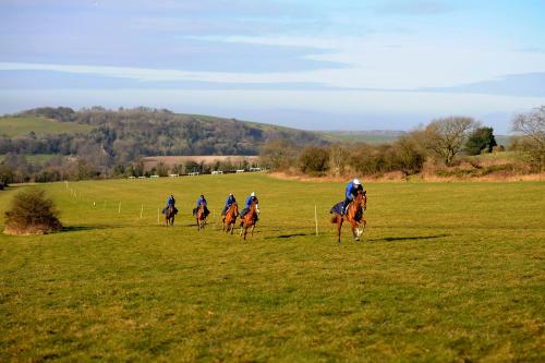a group of people riding horses in a field at Aldaniti in Findon
