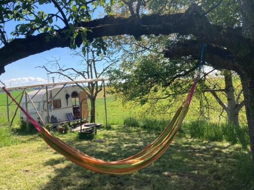 amaca appesa a un albero di fronte a una casa di Tiny Paradise a Berna
