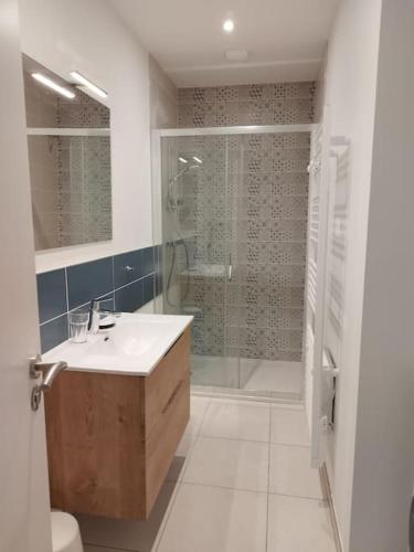 une salle de bain avec un lavabo, une douche et des toilettes dans l'établissement Grand T2 de charme, confort 3*, face aux Thermes., à La Bourboule