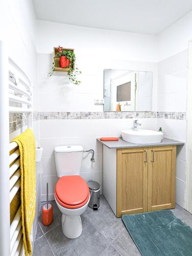 une salle de bain avec toilettes et lavabo dans l'établissement La Fermette vosgienne de la Goutte, à Steige