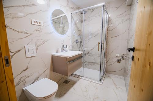 a bathroom with a shower and a toilet and a sink at B&B Mio Nonno Rooms Ljubljana Ex Bizeljčan Rooms in Ljubljana