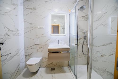a bathroom with a toilet and a sink and a shower at B&B Mio Nonno Rooms Ljubljana Ex Bizeljčan Rooms in Ljubljana