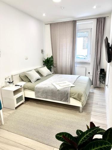 Studio apartman Medvedgrad