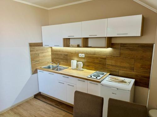 Η κουζίνα ή μικρή κουζίνα στο Gradiska na Savi apartmani i sobe