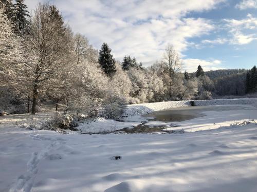 a river covered in snow next to a bridge at Gîte La Guemonce in Le Chay