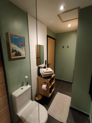 勒·維威恩斯·杜·拉克的住宿－Somptueux * * proche du lac avec parking privé，浴室设有白色卫生间和绿色墙壁。