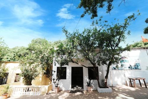 a white house with trees in front of it at Dwarka Lawns Cottages in Mahabaleshwar