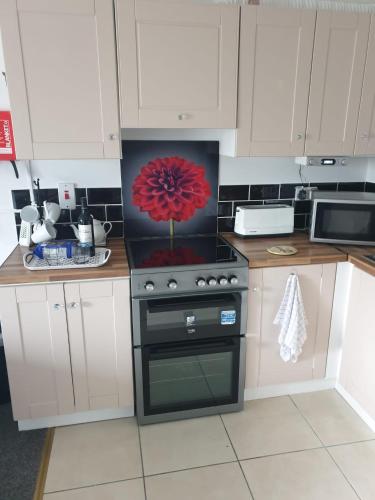 Kuchyň nebo kuchyňský kout v ubytování Stunning 1-Bed Apartment in Carrick-On-Shannon