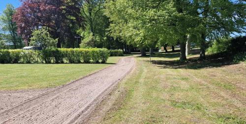 a dirt road in a park with trees and bushes at Charlottsborgs Camping och Vandrarhem in Kristianstad