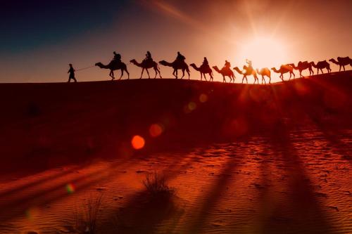 a group of people riding on camels in the desert at Aladdin merzouga camp in Merzouga