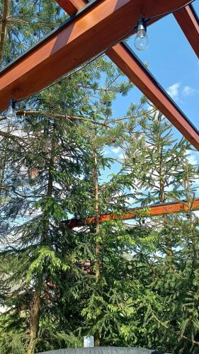 uma vista para as árvores a partir do interior de uma tenda em Lux Houses w DOMKU tylko DWA APARTAMENTYz jacuzzi zewnętrznym em Groń