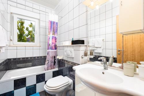 a bathroom with a sink and a toilet and a tub at Villa Laura in Vantačići