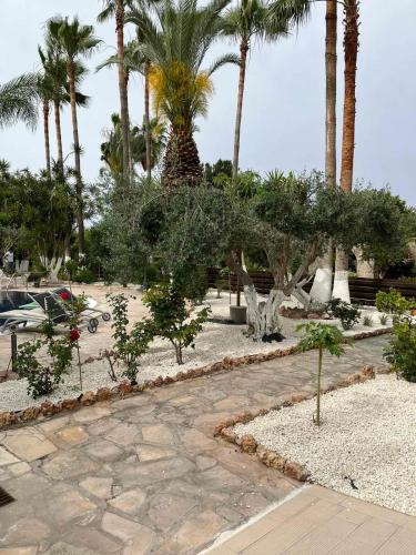 a garden with trees and plants and palm trees at De Michanna in Anarita