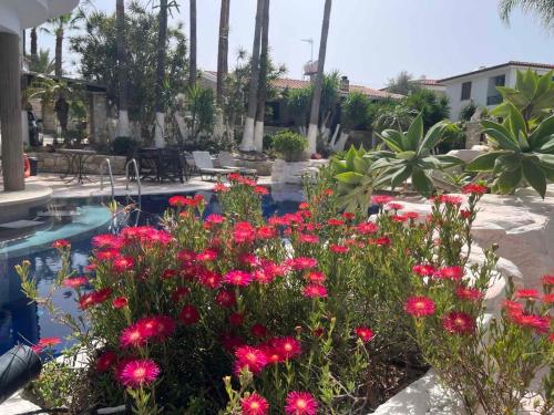 un jardín con flores rosas junto a una piscina en De Michanna, en Anarita