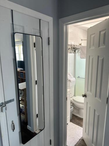a bathroom with a mirror and a toilet at ZenOasis pvt BedBath Studio by NUMC in East Meadow